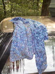 Journal_Day_17_Wet_Shirt.jpg (11136 bytes)