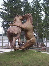Journal_Day_18_Horses_Fighting.jpg (9817 bytes)