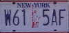 Pictures_LP_New_York.jpg (1677 bytes)